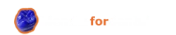 Blender for Dental