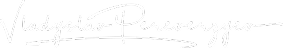 Logo della firma di Vladyslav Pereverzyev